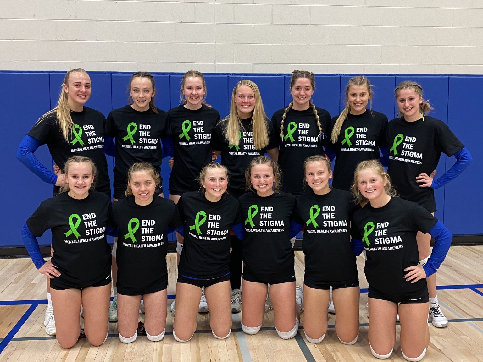 DHS Volleyball Team Hosts Mental Health Awareness Night – Decorah ...