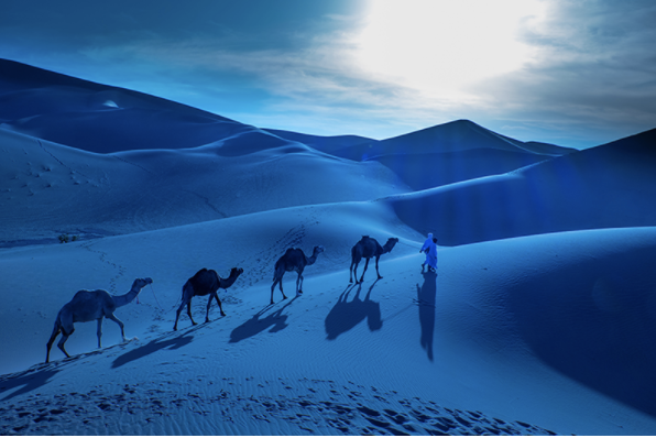 Sahara Desert Video Image