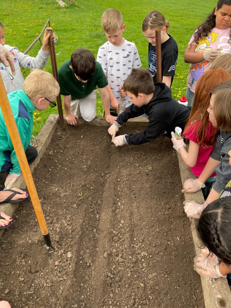 3rd graders plant a garden